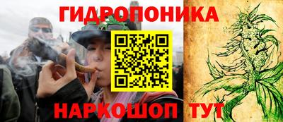 mdma Новозыбков