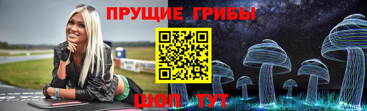 Псилоцибиновые грибы Psilocybe Алушта